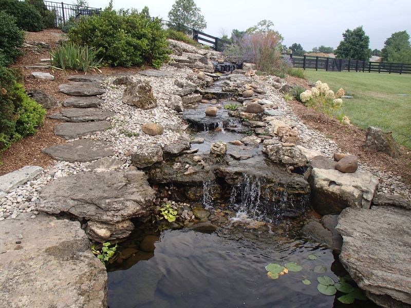 Water Feature Design & Installation